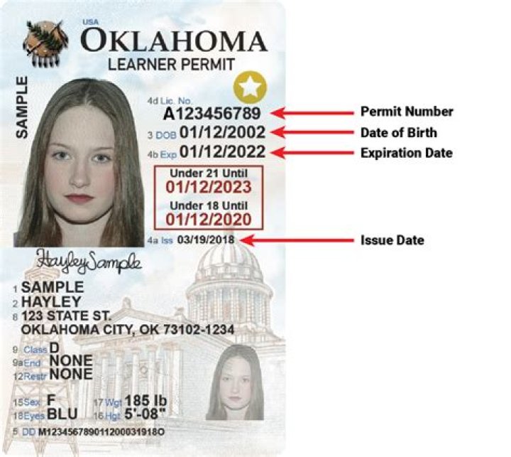 Whats an auto examination permit?
