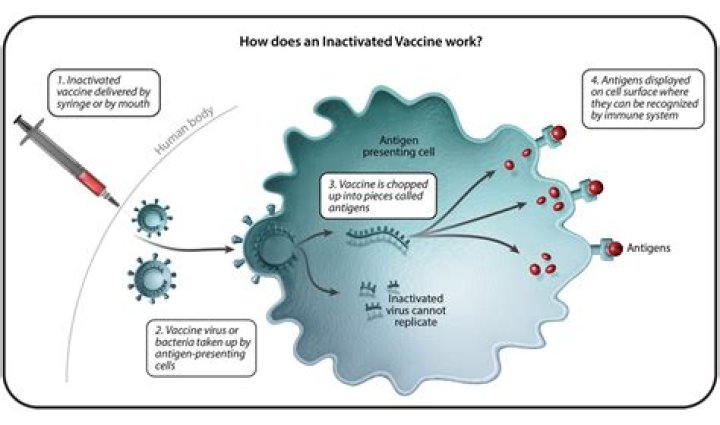 Whats an inactivated vaccine?