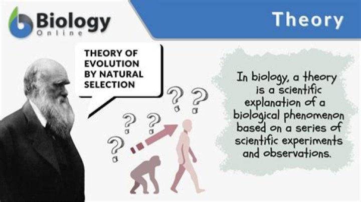 Whats the definition of theoretically?