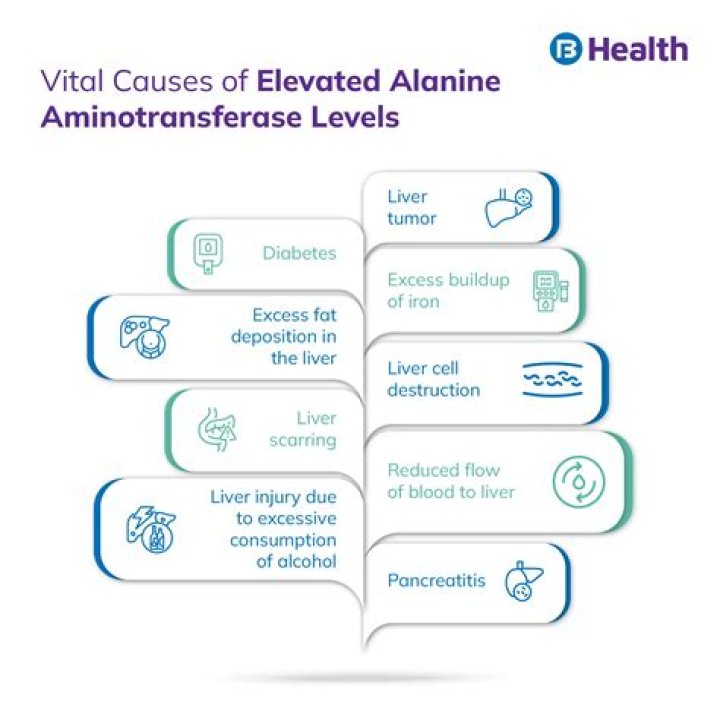 When alanine aminotransferase is high?