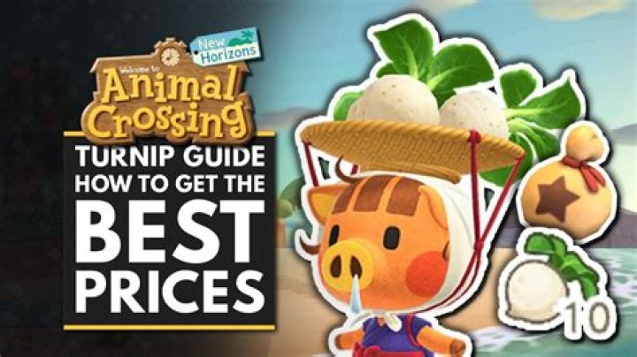 When are turnip prices highest new horizons?