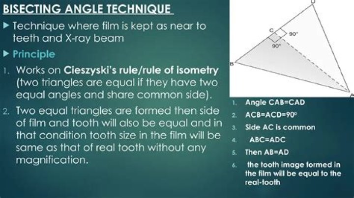 When bisecting an angle the straightedge is used to?