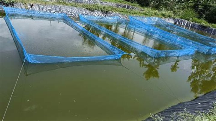When did aquaculture begin?