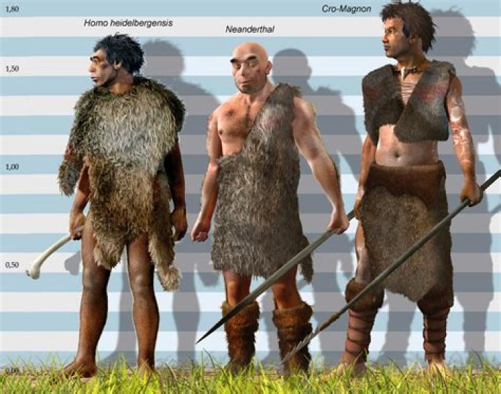 When did cro-magnon go extinct?