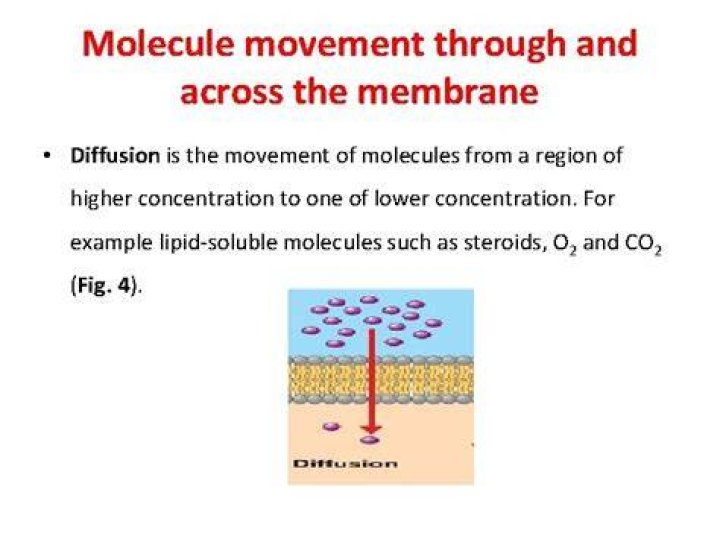 When diffusing molecules move?