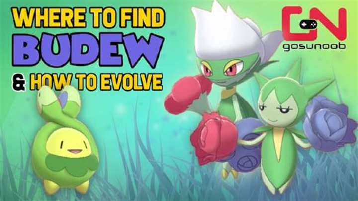 When does budew evolve in pokemon sword?