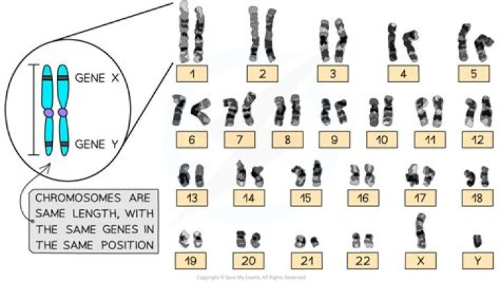 When genes were grouped on the same chromosome?
