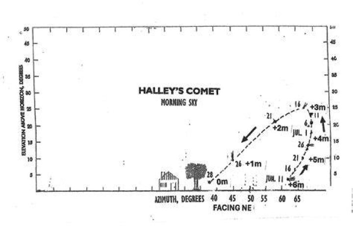 When halley's comet hit the ground?