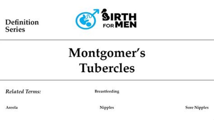 When montgomery tubercles appear?