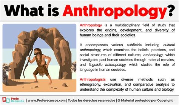 When something is anthropological?