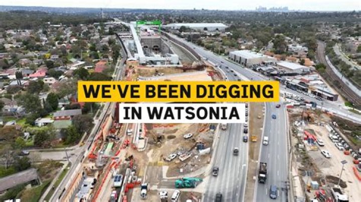 When to divide watsonia?