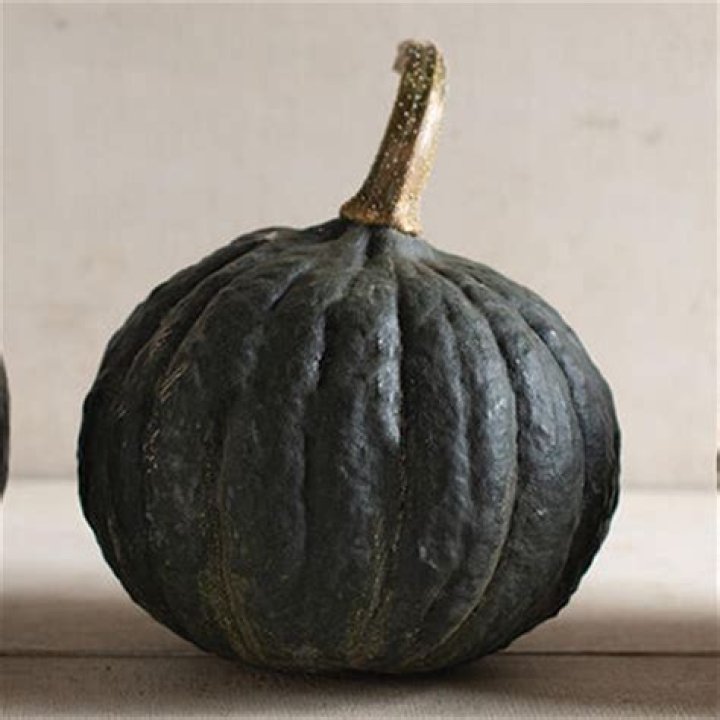 When to harvest tetsukabuto squash?