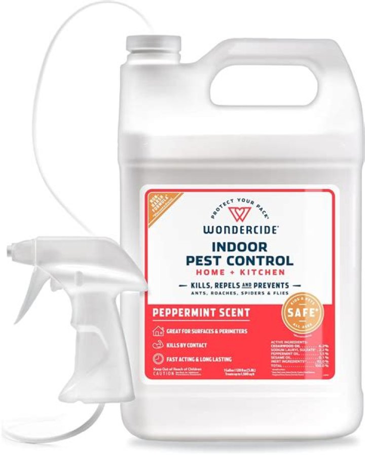 When to spray for pest control?