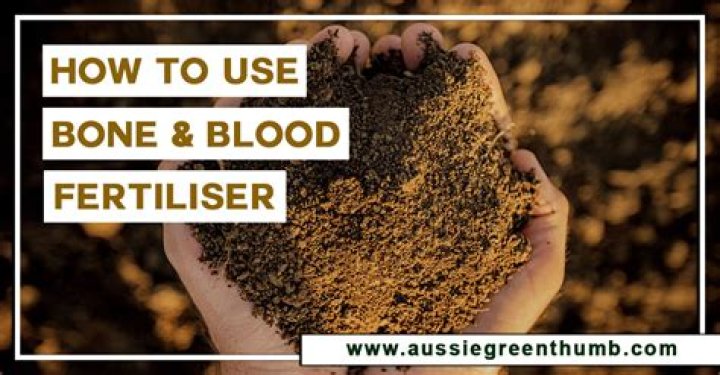 When to use blood and bone fertiliser?