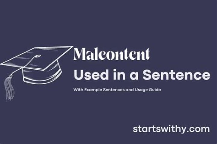 When to use malcontent?