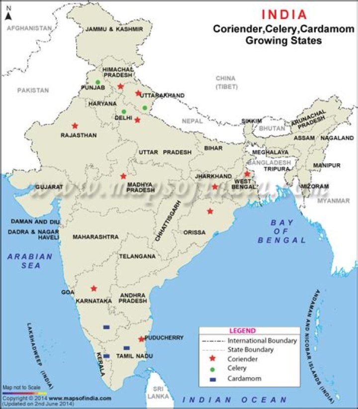 Where cardamom is grown in india?