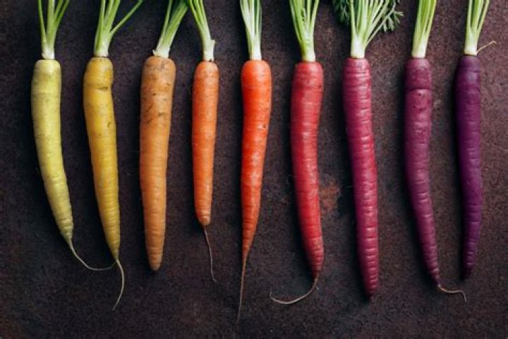 Where carrots always orange?