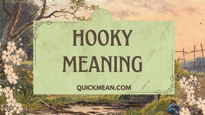Where coming from meaning?