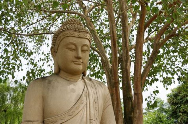Where did buddha sit?