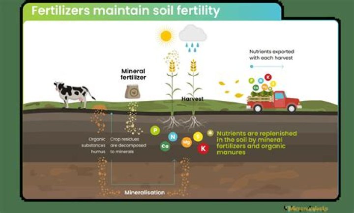 Where do fertilisers come from?