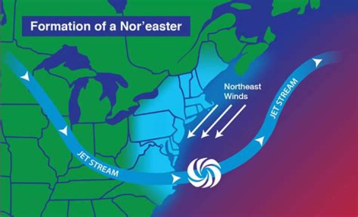 Where do nor'easters form?