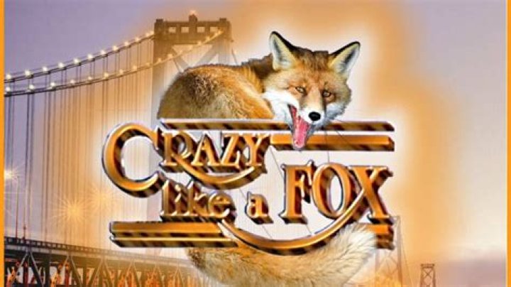 Where does crazy like a fox come from?