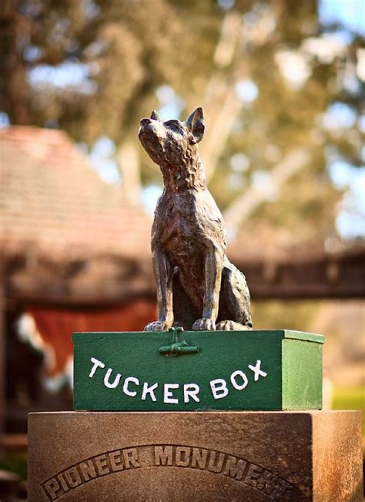 Where is the dog on the tucker box?