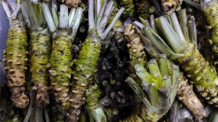 Where is wasabi grown?