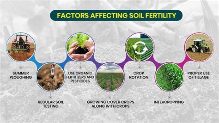 Which biome has fertile soil?