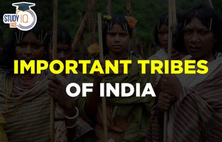 Which cooperative is established for the development of tribes in india?