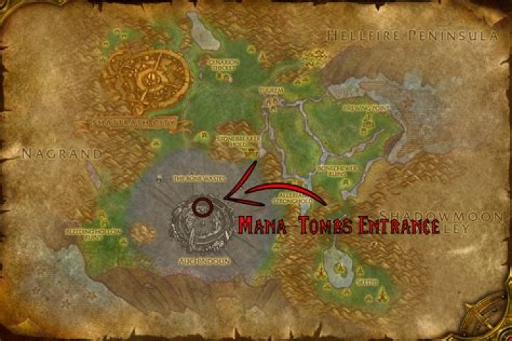 Which dungeons give consortium rep?