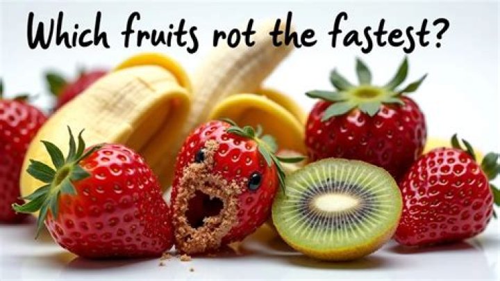 Which food rots the fastest?