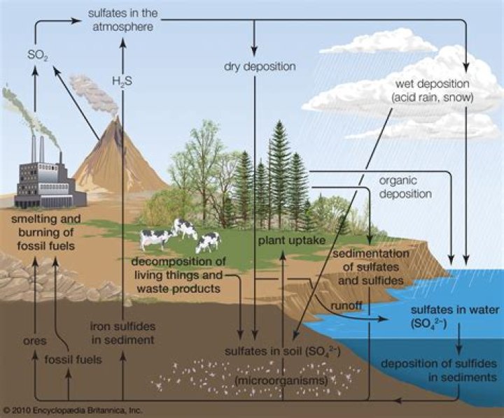 Which gasses cause acid rain?