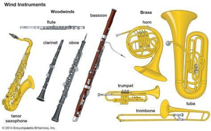 Which instrument is wind instrument?