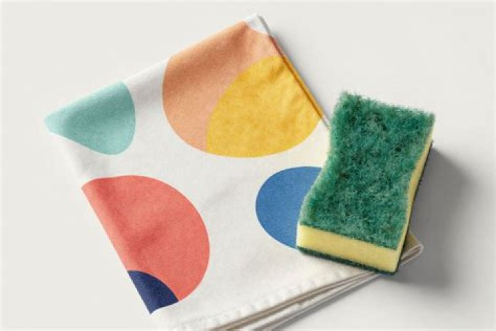 Which is more sanitary sponge or dishcloth?