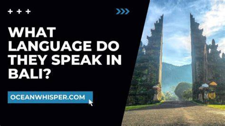 Which language does maluma speak?