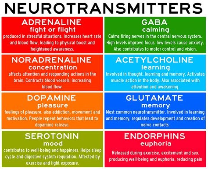 Which of the following neurotransmitters is associated with extraversion?