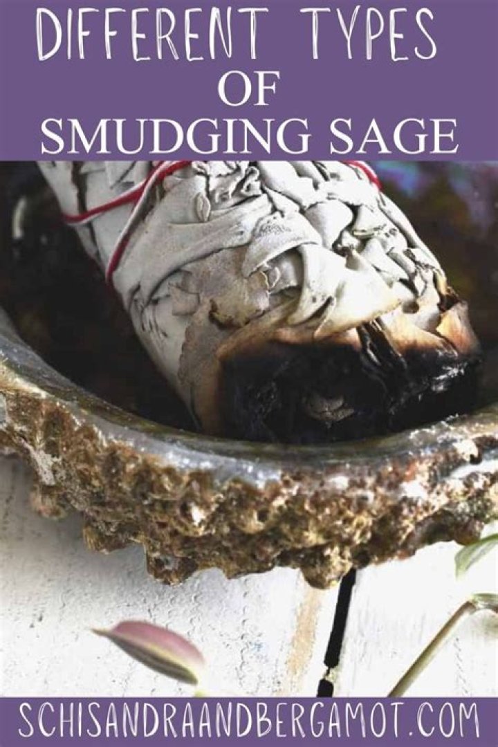 Which sage for smudging?