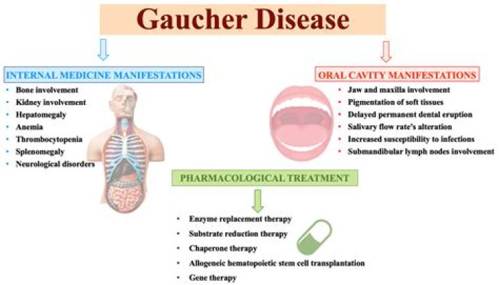 Which type of gaucher disease is the most treatable?