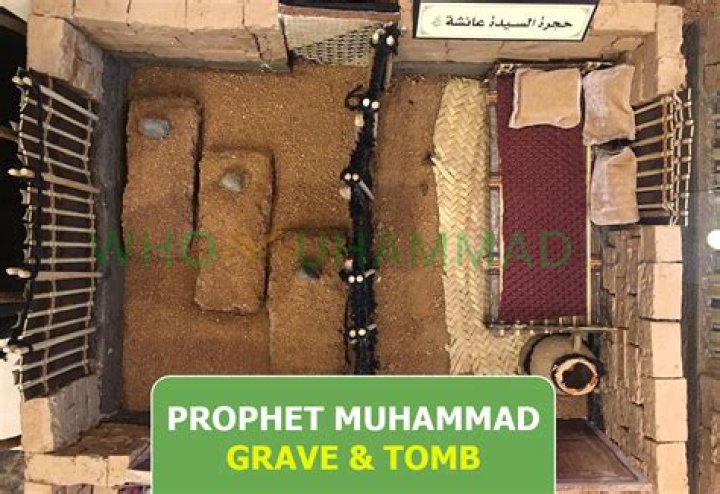 Whos grave did they find in the dig?