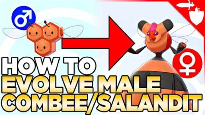 Why can't male combee evolve?