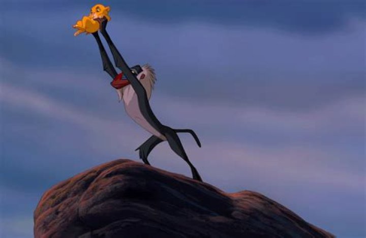 Why did rafiki hits simba?