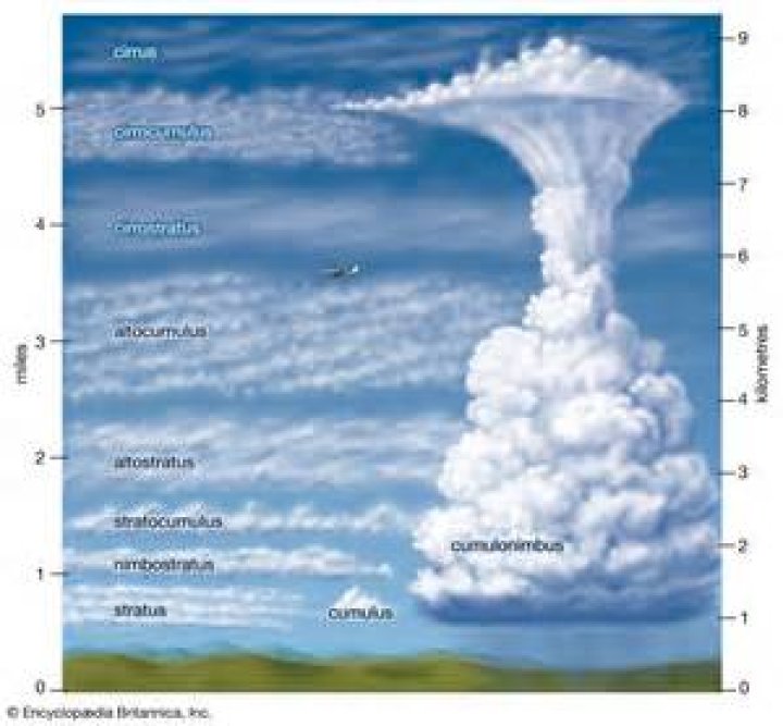 Why do altocumulus clouds form?