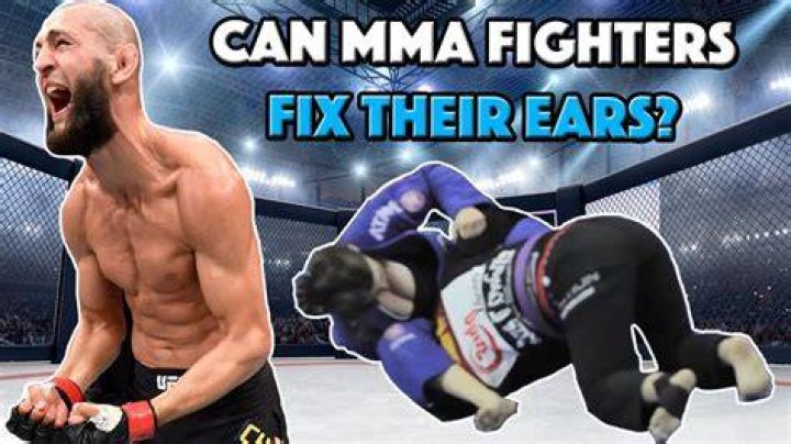 Why do fighters fight?