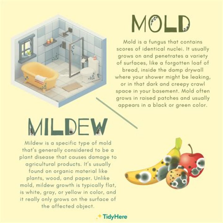 Why does my room smell mildewy?