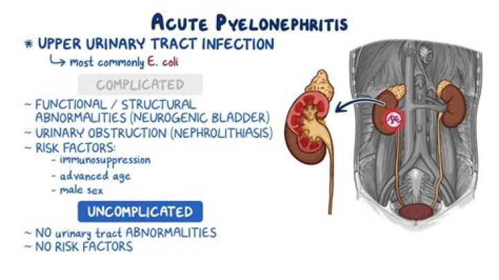 Why does pyelonephritis cause preterm labor?