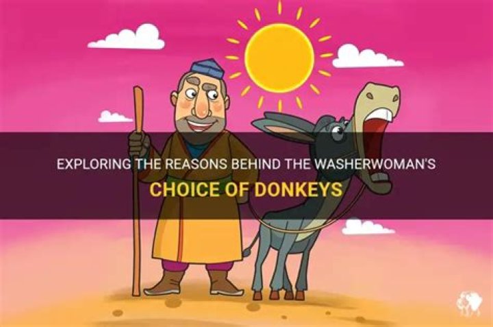 Why does the washerman bring donkeys?