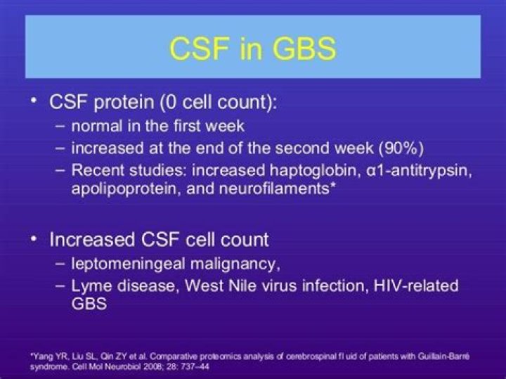 Why is csf protein elevated in gbs?