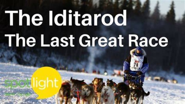 Why is iditarod called the last great race?