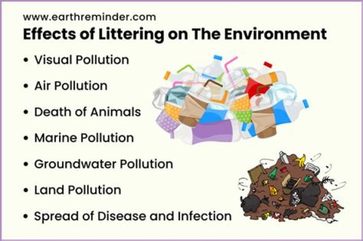 Why is littering bad?